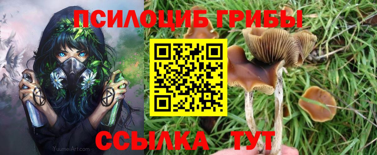 Галлюциногенные грибы GOLDEN TEACHER  Вход с VPN  Галлюциногенные грибы Magic Shrooms  как найти закладки  Бугульма 